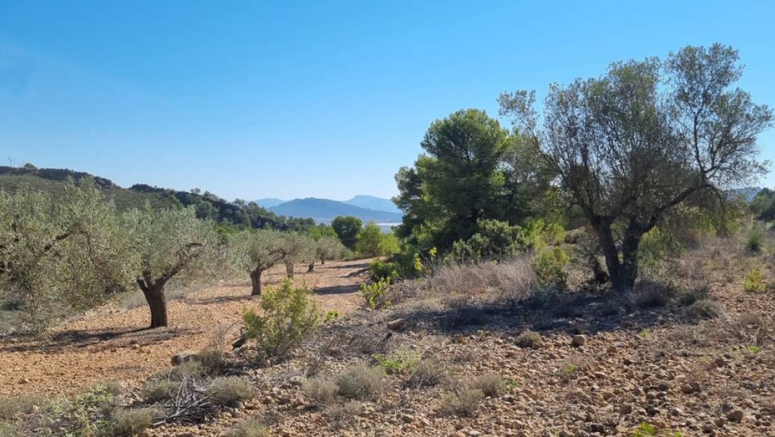 Venta - Land - Monóvar - Monòver - Casas del Señor