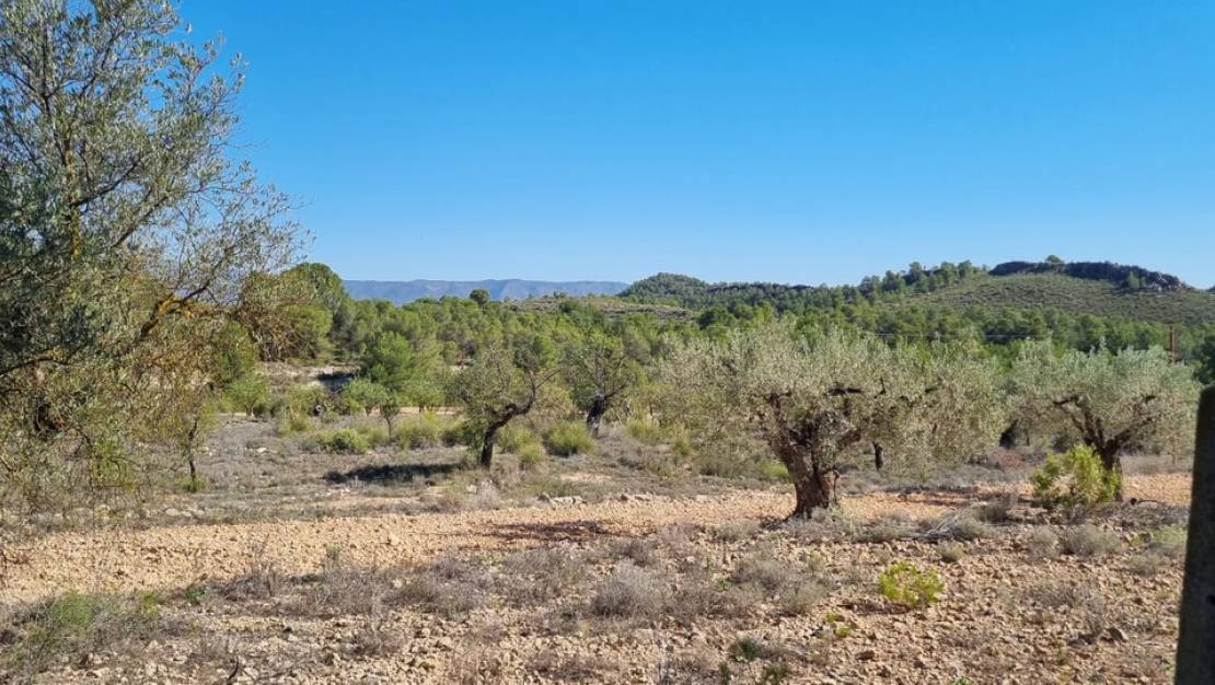 Venta - Land - Monóvar - Monòver - Casas del Señor