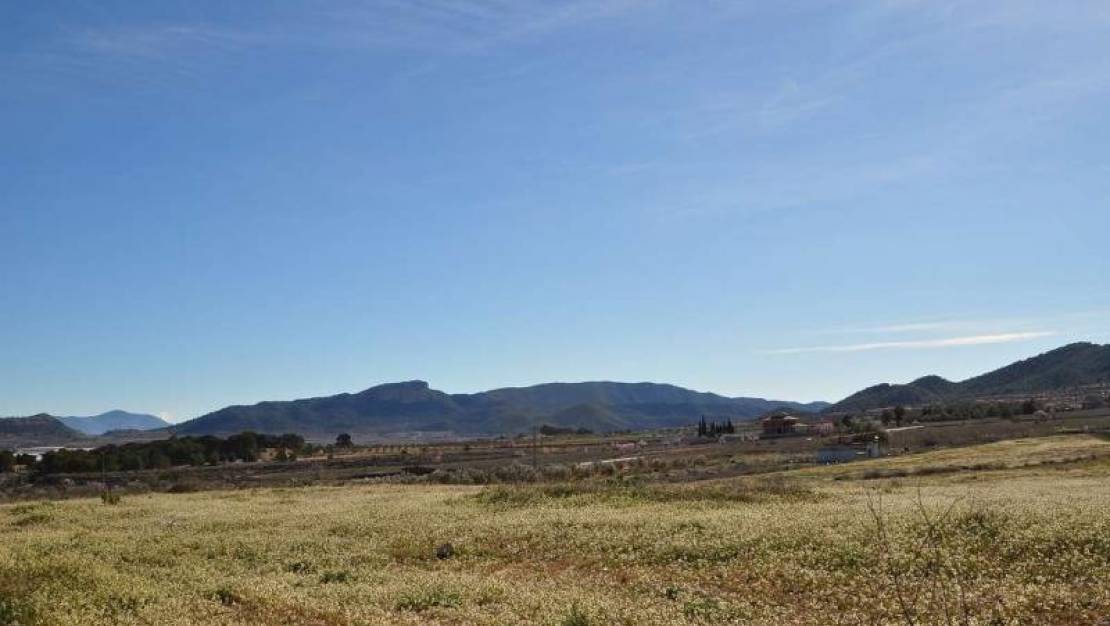 Venta - Land - Monóvar - Monòver - Chinorlet