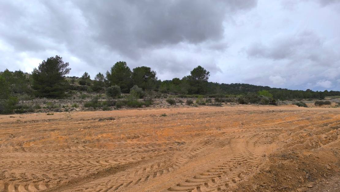 Venta - Land - Monóvar - Monòver - Chinorlet