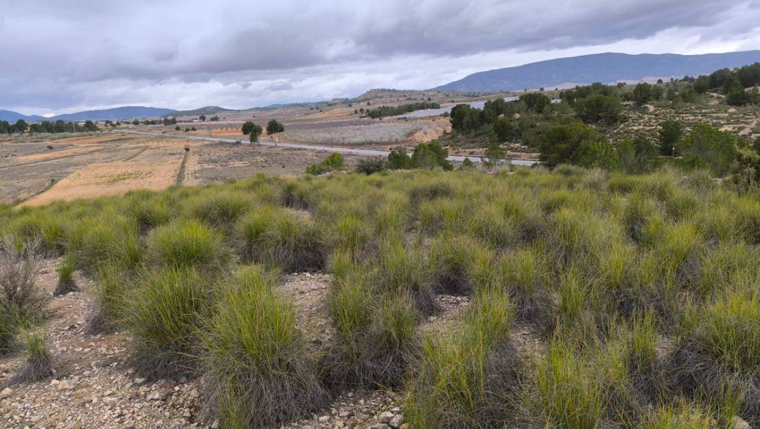 Venta - Land - Monóvar - Monòver - Chinorlet