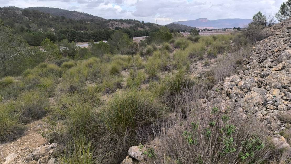 Venta - Land - Monóvar - Monòver - Chinorlet