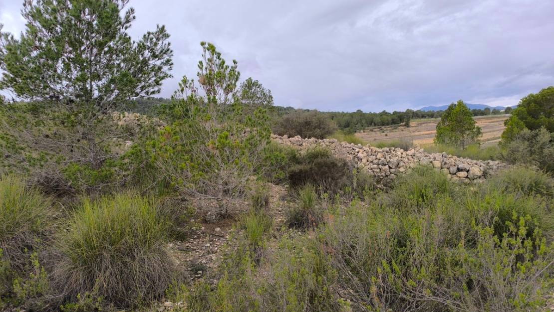 Venta - Land - Monóvar - Monòver - Chinorlet