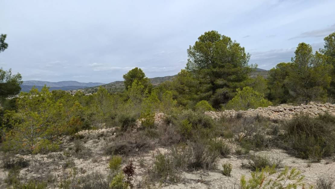 Venta - Land - Monóvar - Monòver - Monóvar - Monòver Centro