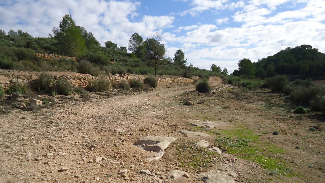 Venta - Land - Monóvar - Monòver - Monóvar - Monòver Centro