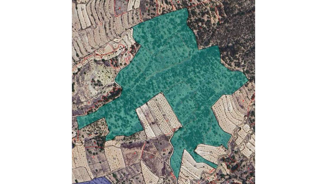 Venta - Land - Monóvar - Monòver - Monóvar - Monòver Centro