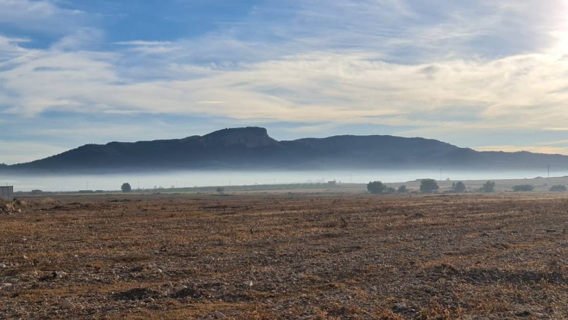 Venta - Land - Monóvar - Monòver - Monóvar - Monòver Centro