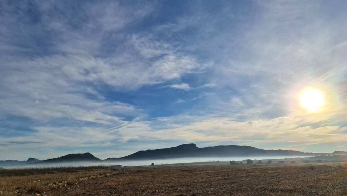 Venta - Land - Monóvar - Monòver - Monóvar - Monòver Centro