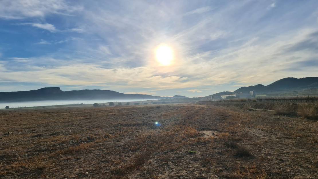 Venta - Land - Monóvar - Monòver - Monóvar - Monòver Centro