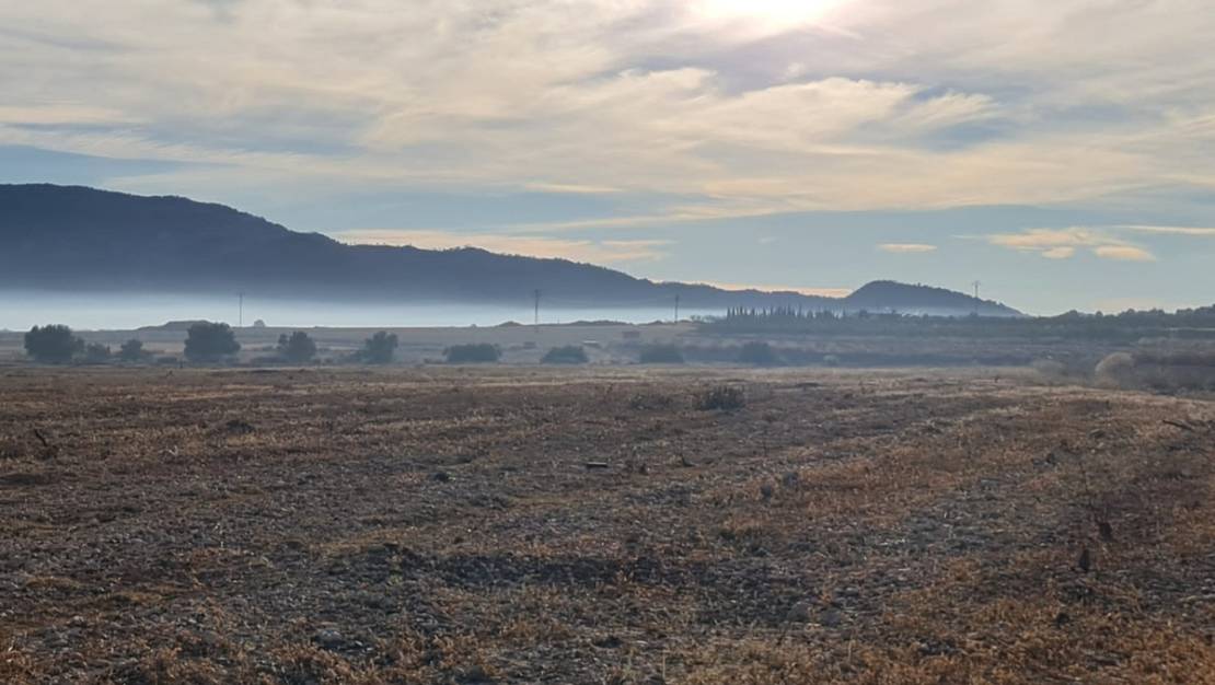 Venta - Land - Monóvar - Monòver - Monóvar - Monòver Centro