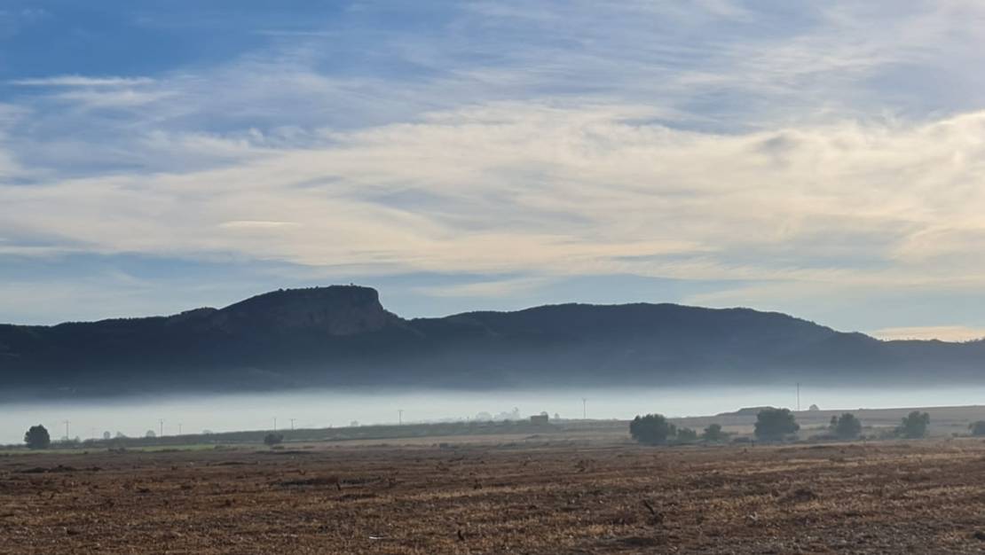 Venta - Land - Monóvar - Monòver - Monóvar - Monòver Centro