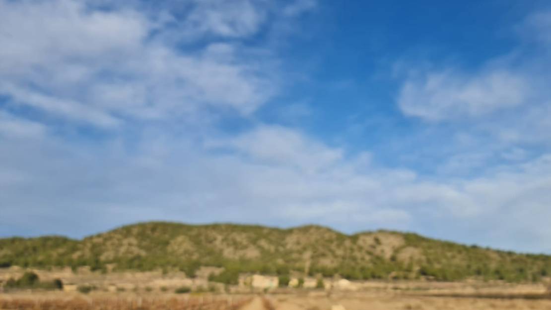 Venta - Land - Monóvar - Monòver - Monóvar - Monòver Centro