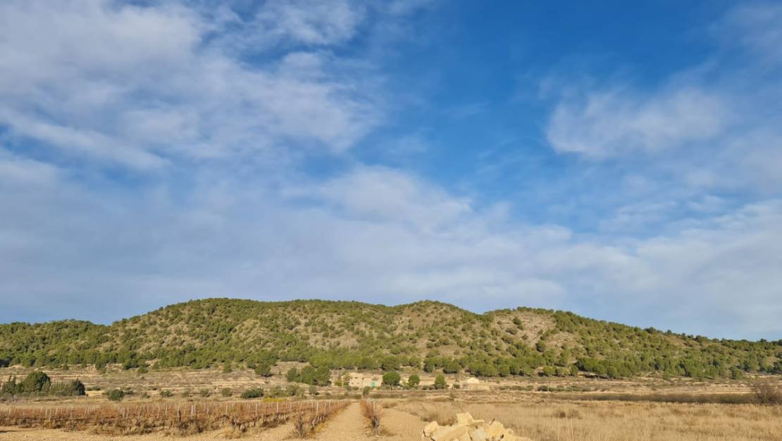 Venta - Land - Monóvar - Monòver - Monóvar - Monòver Centro