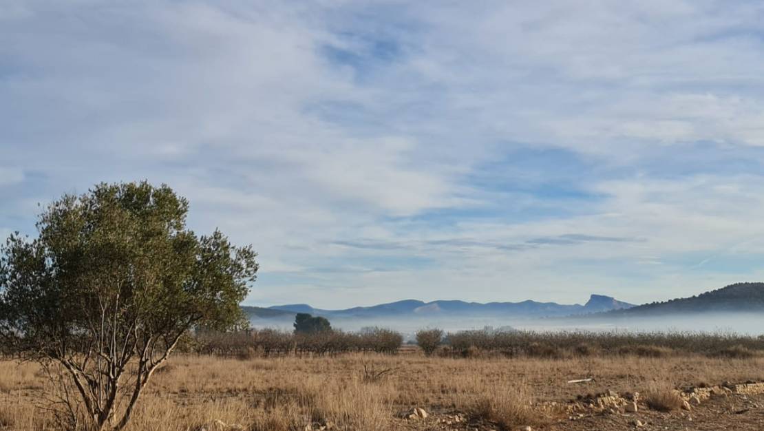 Venta - Land - Monóvar - Monòver - Monóvar - Monòver Centro