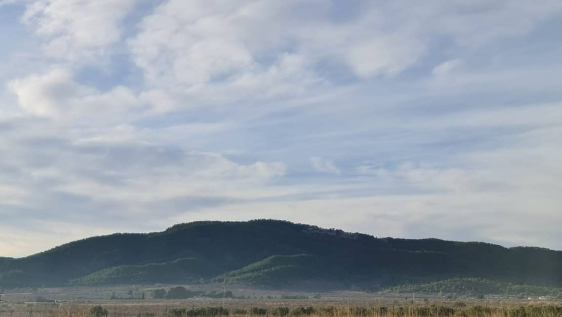 Venta - Land - Monóvar - Monòver - Monóvar - Monòver Centro