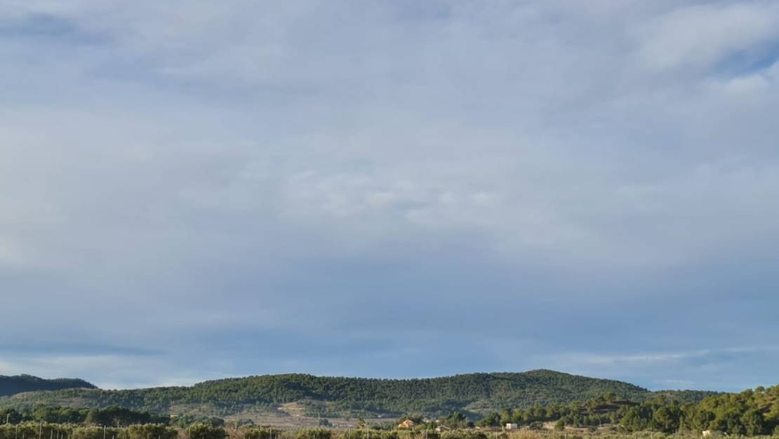 Venta - Land - Monóvar - Monòver - Monóvar - Monòver Centro