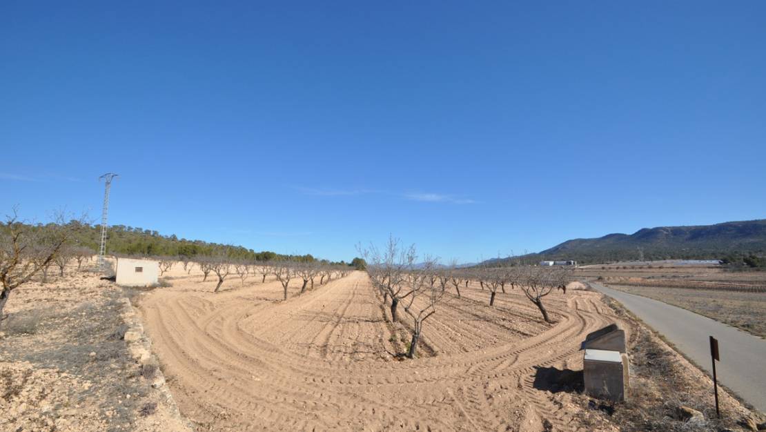 Venta - Land - Monóvar - Monòver - Monóvar - Monòver Centro