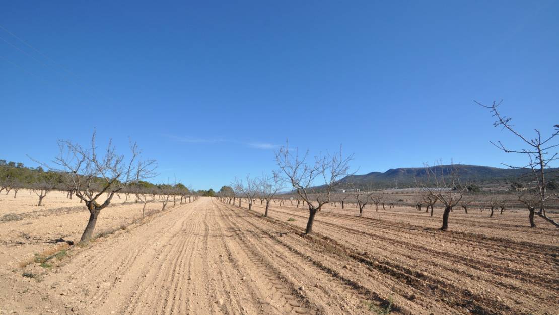 Venta - Land - Monóvar - Monòver - Monóvar - Monòver Centro