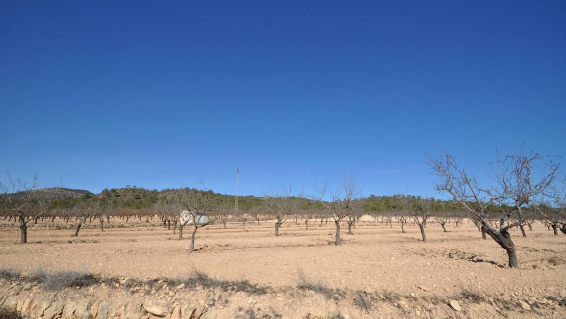 Venta - Land - Monóvar - Monòver - Monóvar - Monòver Centro