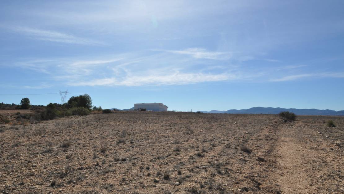 Venta - Land - Monóvar - Monòver - Monóvar - Monòver Centro