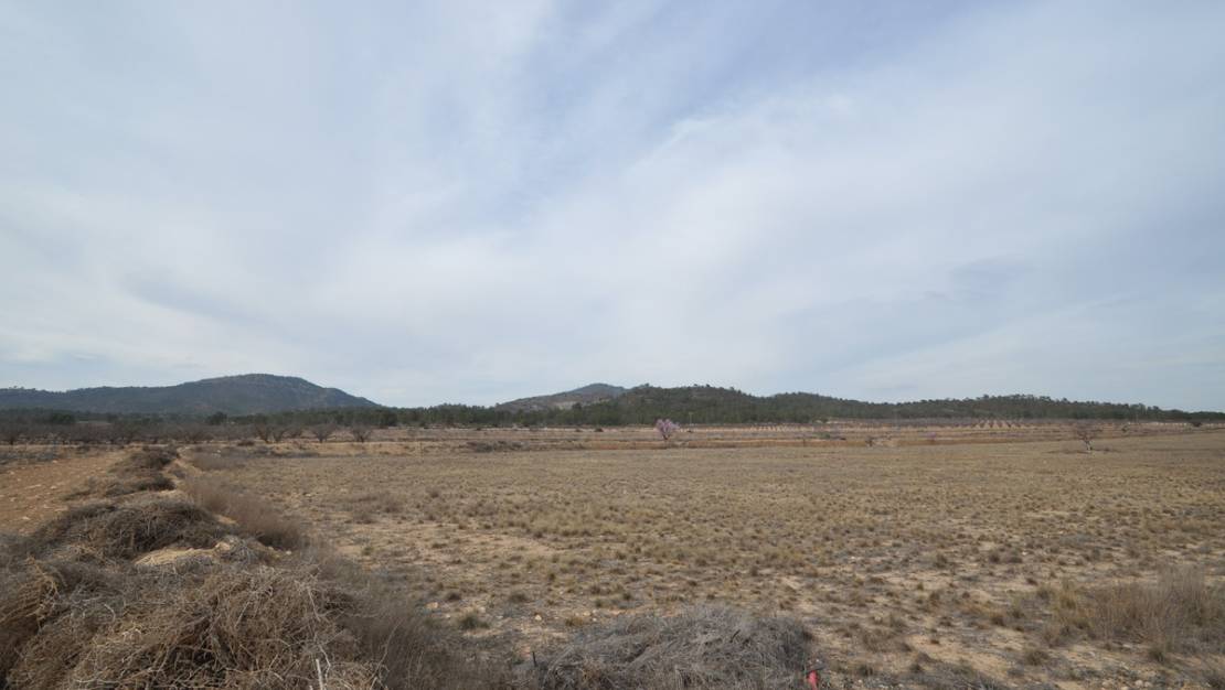 Venta - Land - Monóvar - Monòver - Monóvar - Monòver Centro