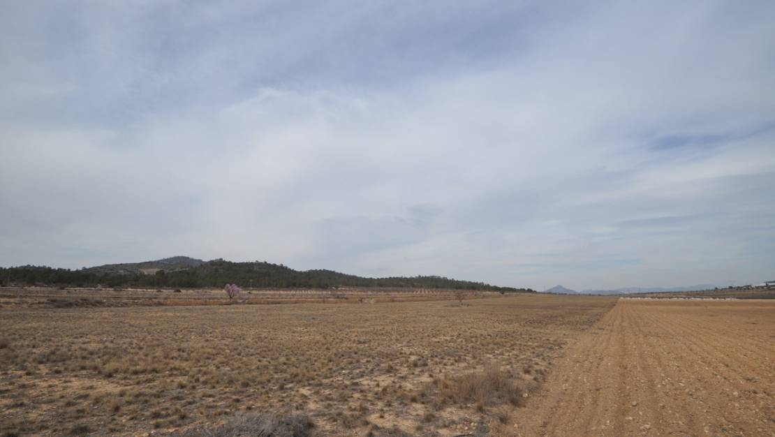 Venta - Land - Monóvar - Monòver - Monóvar - Monòver Centro