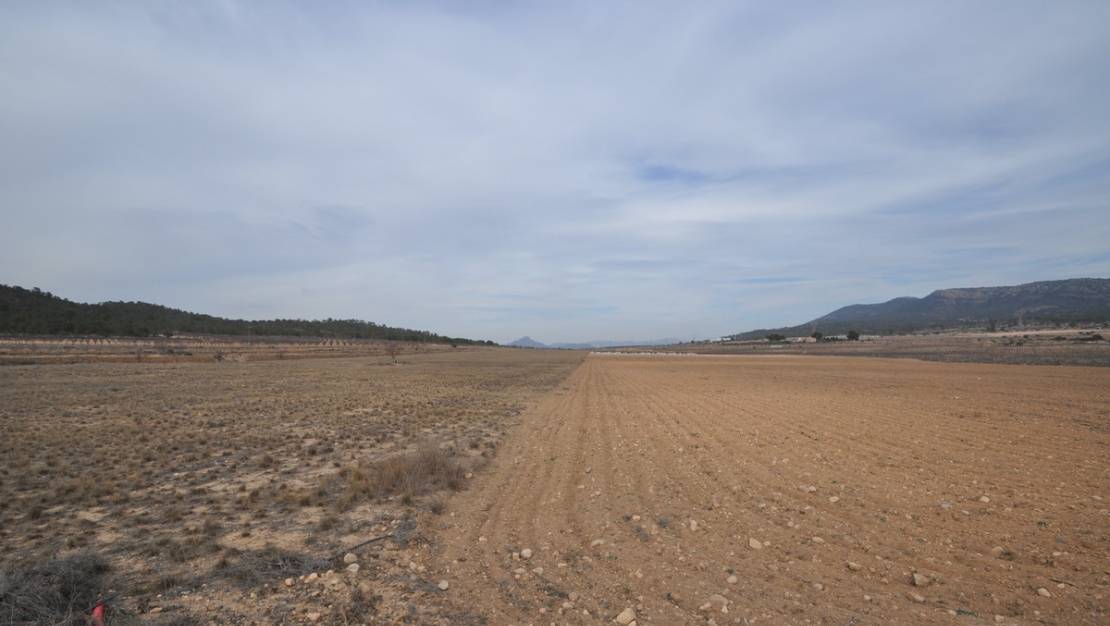 Venta - Land - Monóvar - Monòver - Monóvar - Monòver Centro