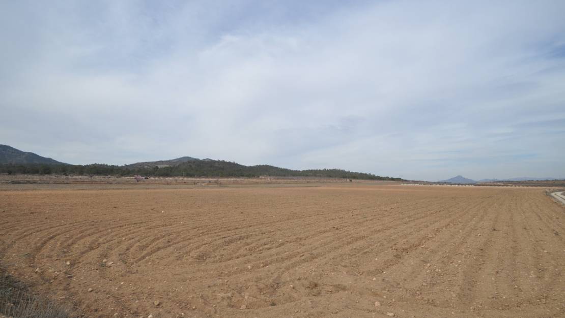 Venta - Land - Monóvar - Monòver - Monóvar - Monòver Centro