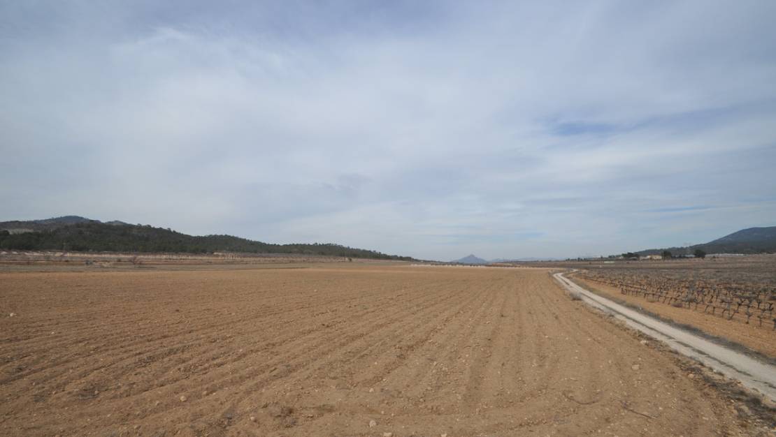 Venta - Land - Monóvar - Monòver - Monóvar - Monòver Centro