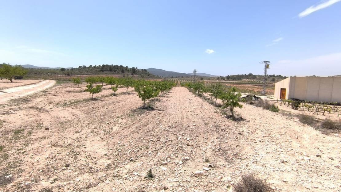 Venta - Land - Monóvar - Monòver - Monóvar - Monòver Centro