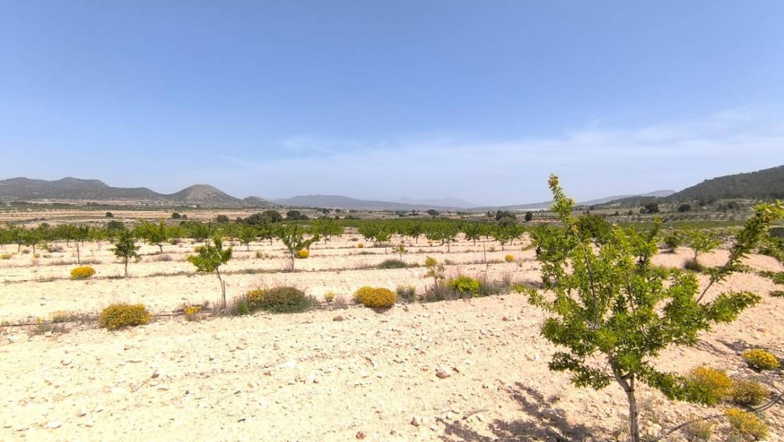 Venta - Land - Monóvar - Monòver - Monóvar - Monòver Centro