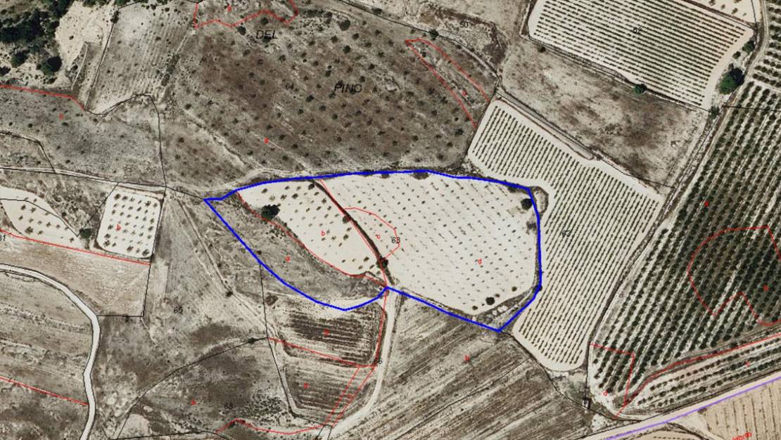 Venta - Land - Monóvar - Monòver - Monóvar - Monòver Centro