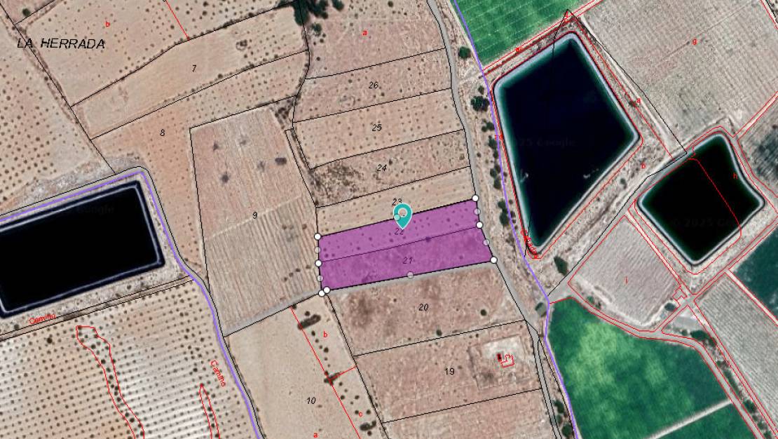 Venta - Land - Monóvar - Monòver - Monóvar - Monòver Centro