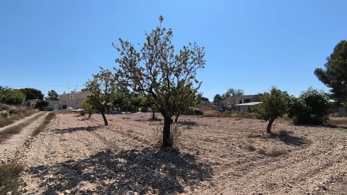 Venta - Land - Monóvar - Monòver - Monóvar - Monòver Centro