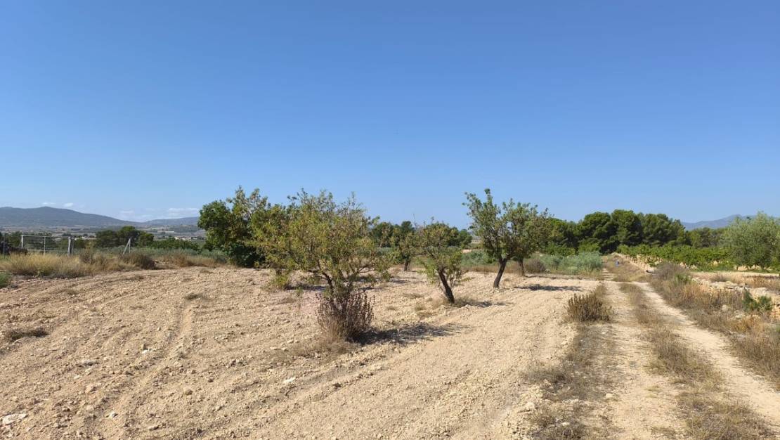 Venta - Land - Monóvar - Monòver - Monóvar - Monòver Centro