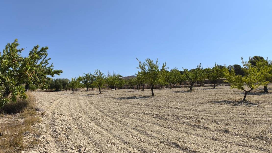 Venta - Land - Monóvar - Monòver - Monóvar - Monòver Centro