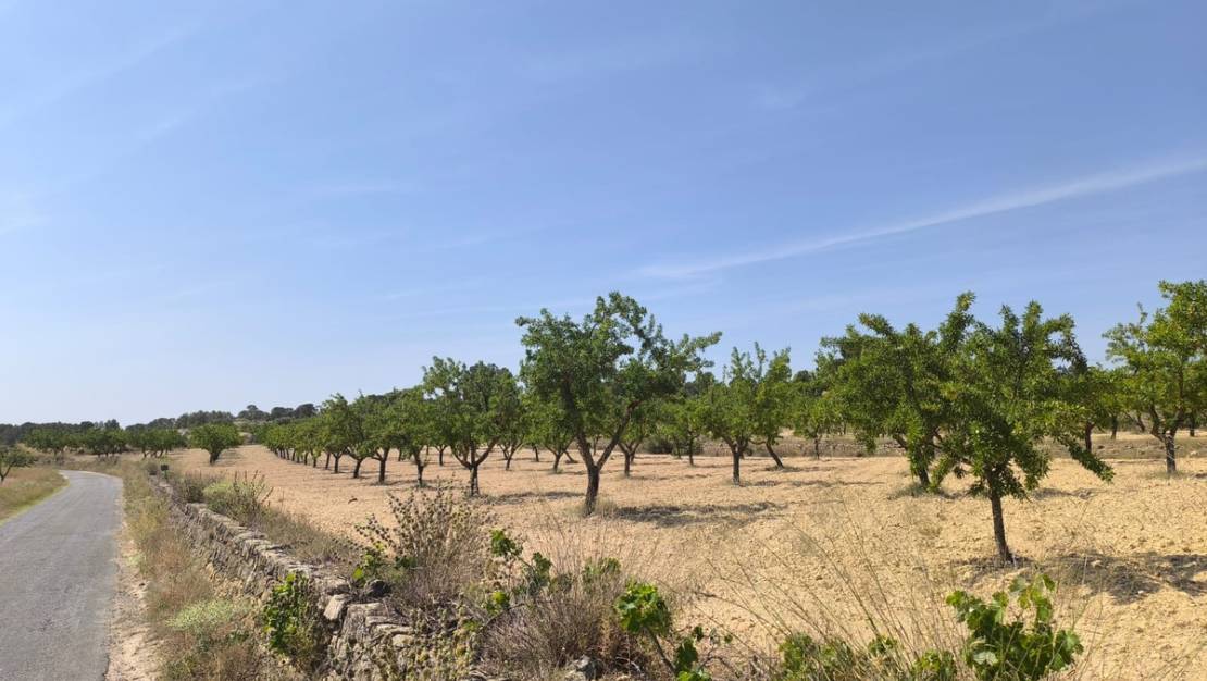 Venta - Land - Monóvar - Monòver - Monóvar - Monòver Centro