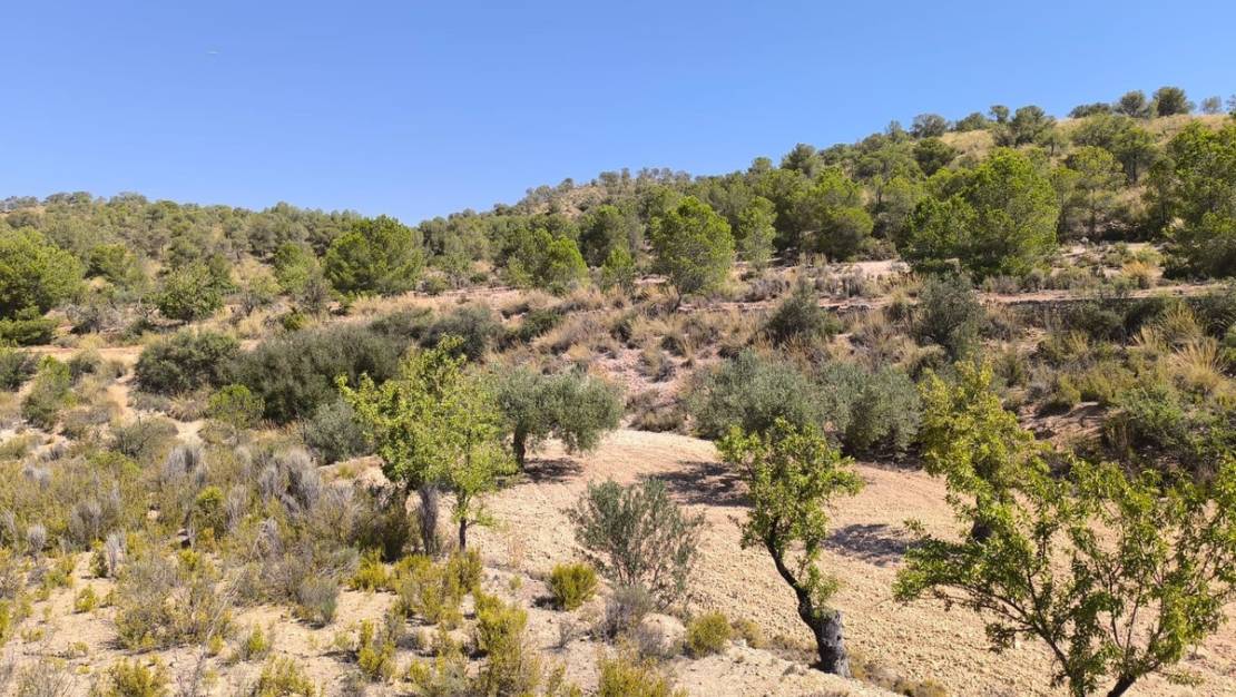 Venta - Land - Monóvar - Monòver - Monóvar - Monòver Centro