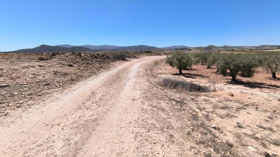 Venta - Land - Monóvar - Monòver - Monóvar - Monòver Centro