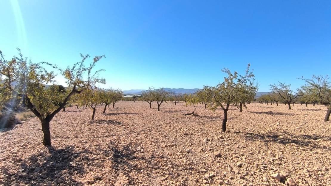 Venta - Land - Monóvar - Monòver - Monóvar - Monòver Centro
