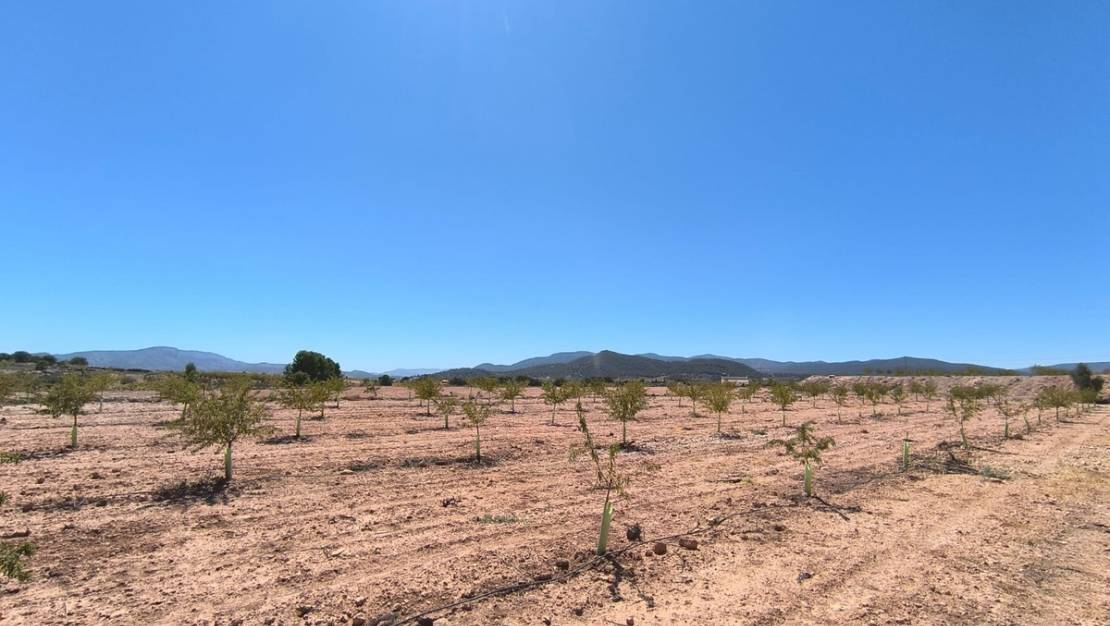 Venta - Land - Monóvar - Monòver - Monóvar - Monòver Centro
