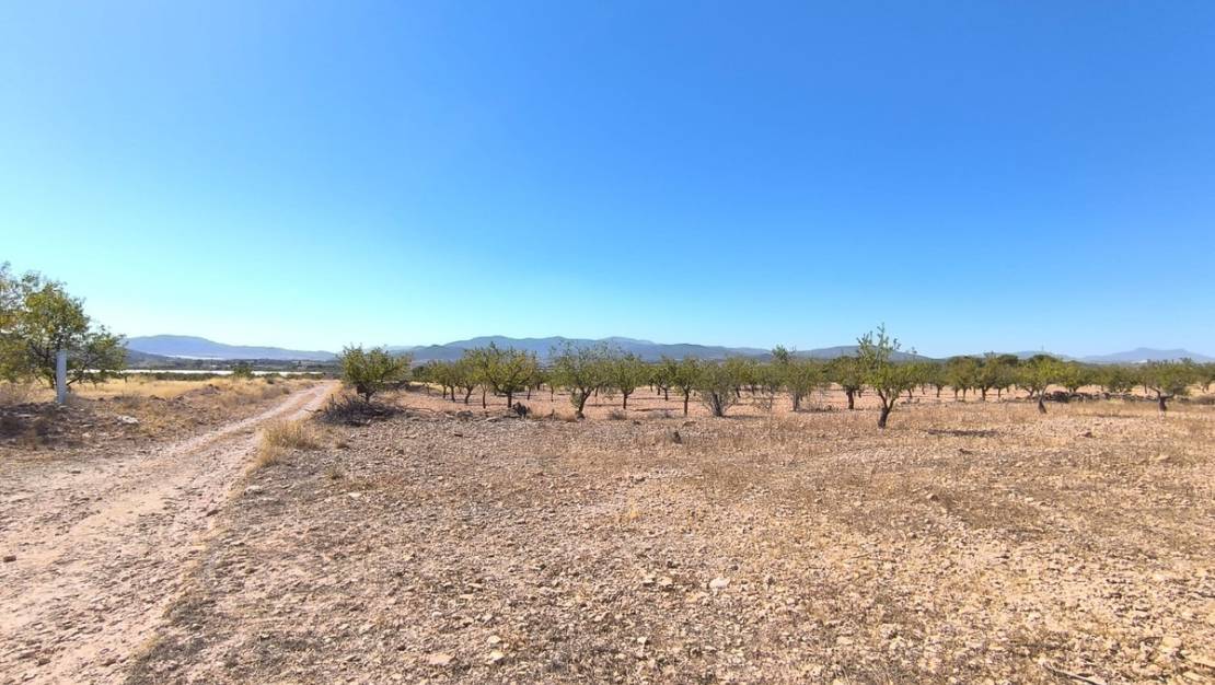 Venta - Land - Monóvar - Monòver - Monóvar - Monòver Centro