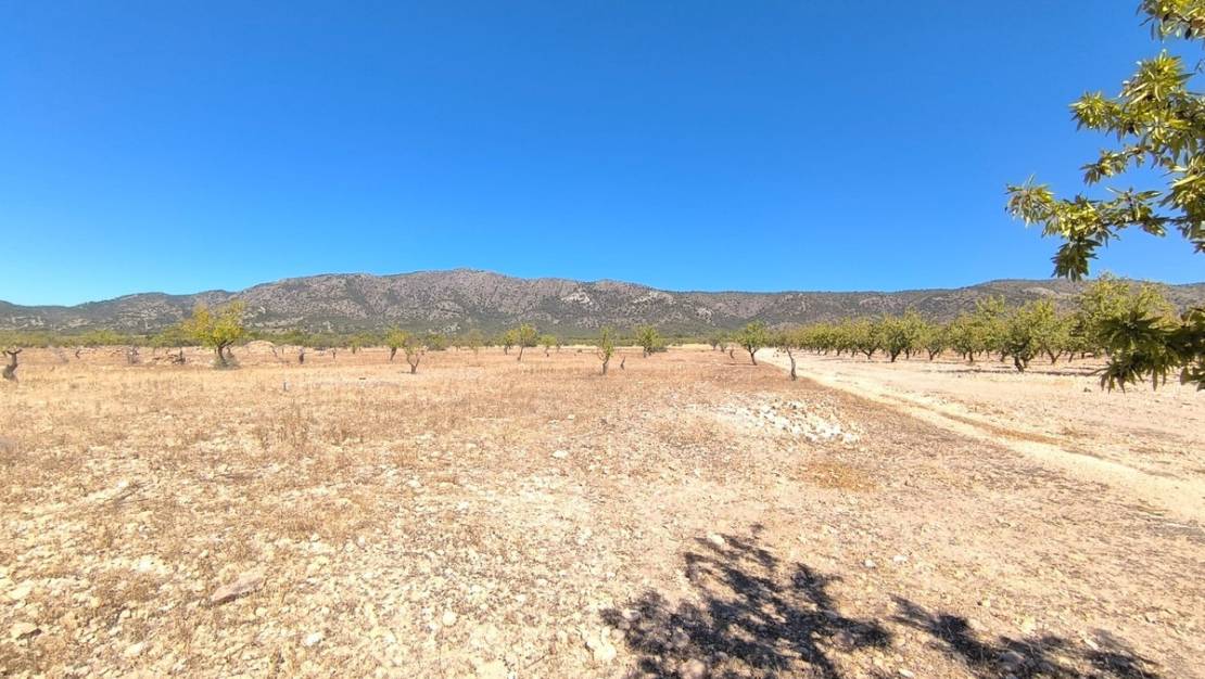 Venta - Land - Monóvar - Monòver - Monóvar - Monòver Centro