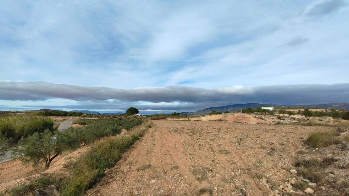 Venta - Land - Monóvar - Monòver - Monóvar - Monòver Centro