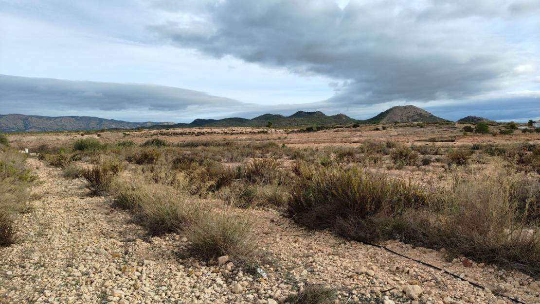 Venta - Land - Monóvar - Monòver - Monóvar - Monòver Centro