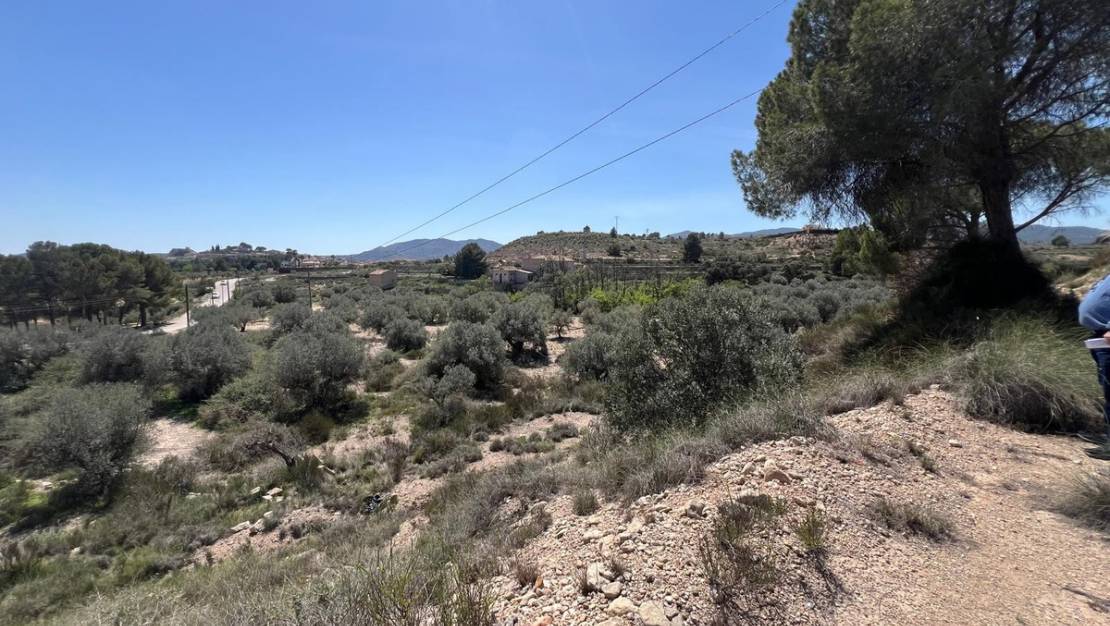 Venta - Land - Monóvar - Monòver - Monóvar - Monòver Centro