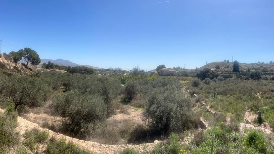 Venta - Land - Monóvar - Monòver - Monóvar - Monòver Centro