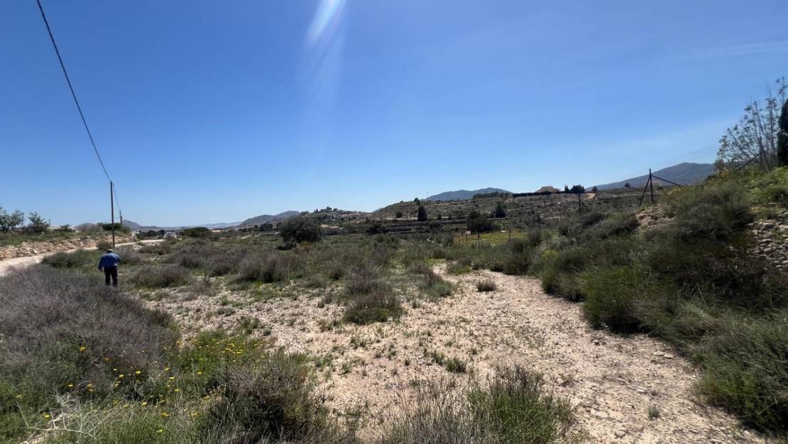 Venta - Land - Monóvar - Monòver - Monóvar - Monòver Centro