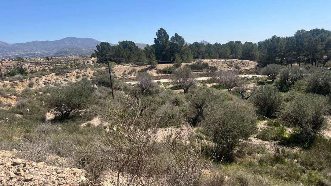 Venta - Land - Monóvar - Monòver - Monóvar - Monòver Centro