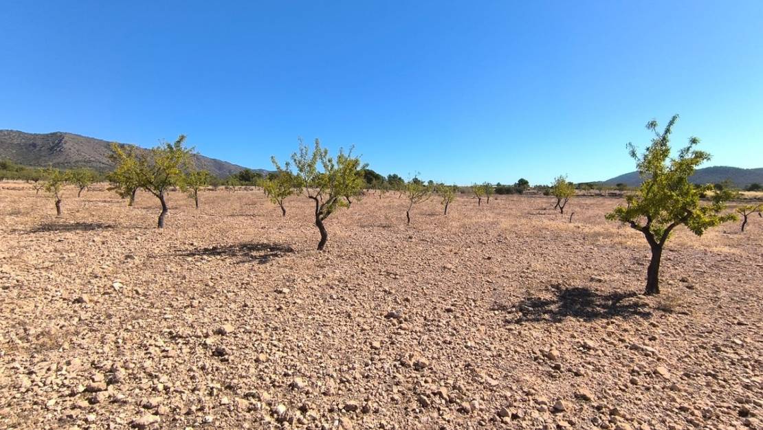 Venta - Land - Monóvar - Monòver - Monóvar - Monòver Centro